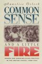 Common Sense And A Little Fire - Preview