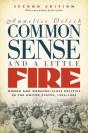 Common Sense And A Little Fire, Second Edition - Preview
