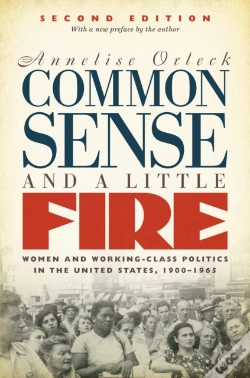 Capa do artigo Common Sense And A Little Fire, Second Edition