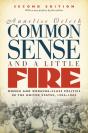 Common Sense And A Little Fire, Second Edition - Preview
