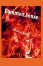 Common Sense Annotated - Preview