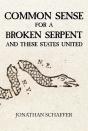 Common Sense For A Broken Serpent And These States United - Preview