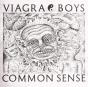 Common Sense - Vinil - Preview