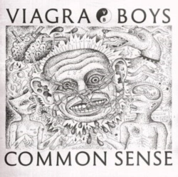 Capa do artigo Common Sense - Vinil