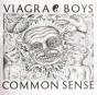Common Sense - Vinil - Preview