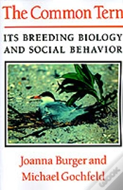 Capa do artigo Common Tern