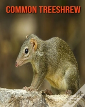 Capa do artigo Common Treeshrew