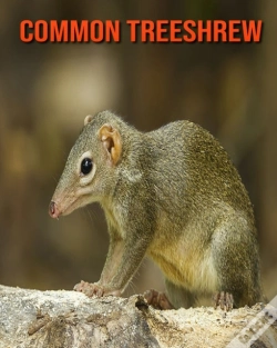 Capa do artigo Common Treeshrew