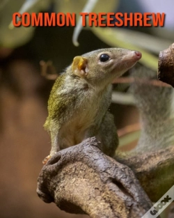 Capa do artigo Common Treeshrew