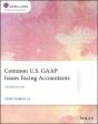 Common U.S. Gaap Issues Facing Accountants - Preview