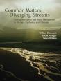 Common Waters, Diverging Streams - Preview