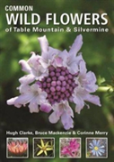 Common Wild Flowers Of  Table Mountain & Silvermine