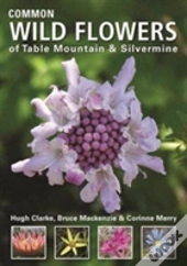 Common Wild Flowers Of  Table Mountain & Silvermine