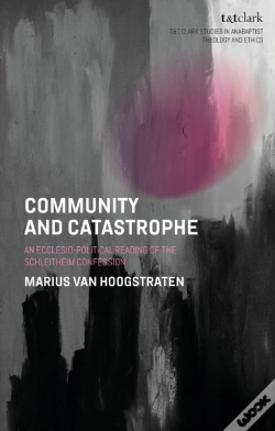 Capa do artigo Community And Catastrophe