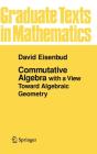 Commutative Algebra - Preview