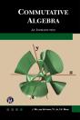 Commutative Algebra - Preview