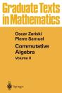 Commutative Algebra - Preview