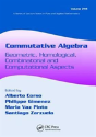 Commutative Algebra - Preview