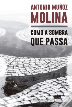 Capa do artigo Como a Sombra que Passa