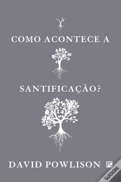 Capa do artigo Como Acontece A Santificação?