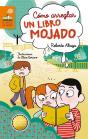Cómo Arreglar Un Libro Mojado - Preview