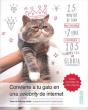 Cómo Convertirtu Gato En Una Celebrity De Internet - Preview