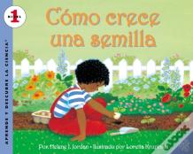 Como Crece Una Semilla