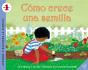 Como Crece Una Semilla - Preview