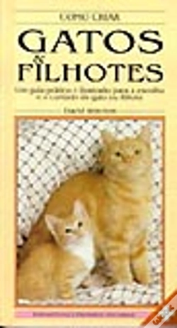 Capa do artigo Como Criar Gatos & Filhotes