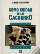 Como Cuidar Do Seu Cachorro