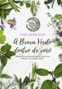 Como Despertar A Bruxa Verde Dentro De Você - Preview