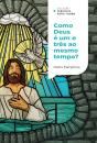 Como Deus Pode Ser Um E Três Ao Mesmo Tempo? |Coleção Teologia Para Todos - Preview