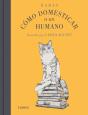 Cómo Domesticar A Un Humano - Preview
