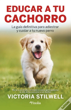Capa do artigo Como Educar A Tu Cachorro