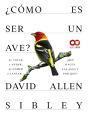 Como Es Ser Un Ave De Volar A Anidar De Comer A Cantar... Q - Preview