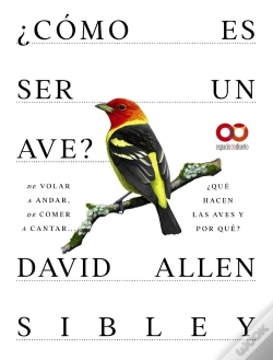 Capa do artigo Como Es Ser Un Ave De Volar A Anidar De Comer A Cantar... Q