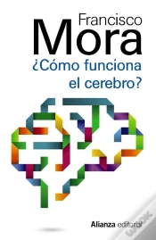 Capa do artigo Cómo Funciona El Cerebro