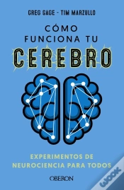 Capa do artigo Como Funciona Tu Cerebro Experimentos Neurociencia Para Tod