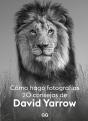 Como Hago Fotografias - Preview
