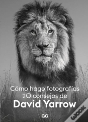 Capa do artigo Como Hago Fotografias