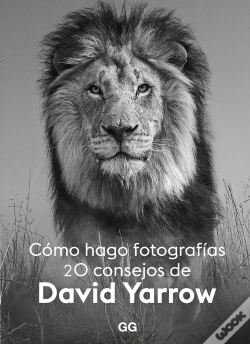 Capa do artigo Como Hago Fotografias