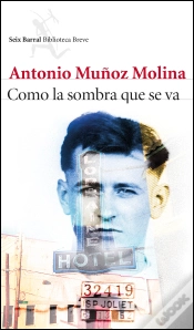 Capa do artigo Como La Sombra Que Se Va