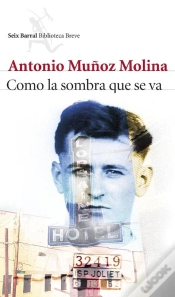 Capa do artigo Como La Sombra Que Se Va