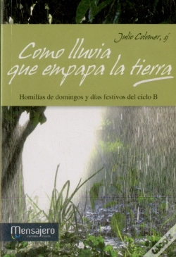 Capa do artigo Como Lluvia Que Empapa La Tierra