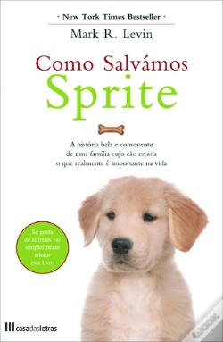 Capa do artigo Como Salvámos Sprite