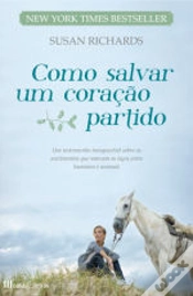 Capa do artigo Como Salvar um Coração Partido