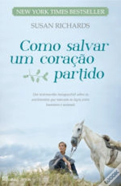 Capa do artigo Como Salvar um Coração Partido