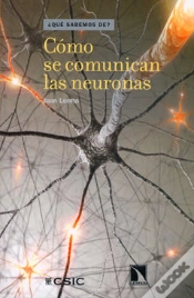 Capa do artigo Cómo Se Comunican Las Neuronas
