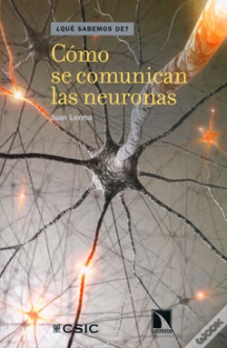 Capa do artigo Cómo Se Comunican Las Neuronas