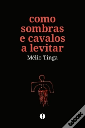 Capa do artigo Como Sombras e Cavalos a Levitar